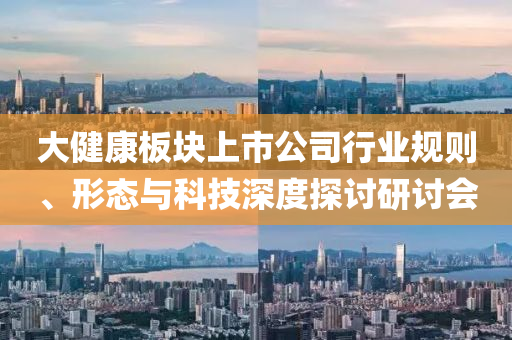 大健康板塊上市公司行業規則、形態與科技深度探討研討會
